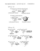 FLUORESCENCE-PRODUCING MOLECULE diagram and image