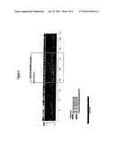 TISSUE REJECTION BIOMARKERS diagram and image