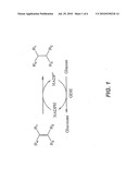 ENONE REDUCTASES diagram and image