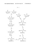  ENZYME FOR THE PRODUCTION OF METHYLMALONYL-COENZYME A OR ETHYLMALONYL-COENZYME A AND USE THEREOF diagram and image