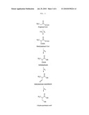  ENZYME FOR THE PRODUCTION OF METHYLMALONYL-COENZYME A OR ETHYLMALONYL-COENZYME A AND USE THEREOF diagram and image