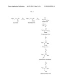  ENZYME FOR THE PRODUCTION OF METHYLMALONYL-COENZYME A OR ETHYLMALONYL-COENZYME A AND USE THEREOF diagram and image