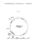  ENZYME FOR THE PRODUCTION OF METHYLMALONYL-COENZYME A OR ETHYLMALONYL-COENZYME A AND USE THEREOF diagram and image