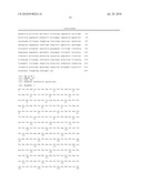  ENZYME FOR THE PRODUCTION OF METHYLMALONYL-COENZYME A OR ETHYLMALONYL-COENZYME A AND USE THEREOF diagram and image