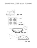 SYSTEM FOR OPTICAL STIMULATION OF TARGET CELLS diagram and image