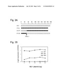 Functional Mutations In Respiratory Syncytial Virus diagram and image