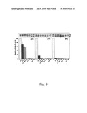 Functional Mutations In Respiratory Syncytial Virus diagram and image