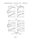 Functional Mutations In Respiratory Syncytial Virus diagram and image