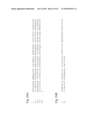 Functional Mutations In Respiratory Syncytial Virus diagram and image