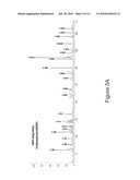 DEGRADATION OF NANOMATERIALS diagram and image