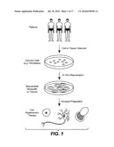 Methods of Rejuvenating Cells In Vitro and In Vivo diagram and image