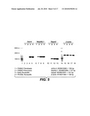 Methods of Rejuvenating Cells In Vitro and In Vivo diagram and image