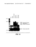 Methods of Rejuvenating Cells In Vitro and In Vivo diagram and image