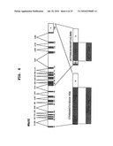 PROGNOSTIC FACTOR IN SARCOMA, AND METASTASIS INHIBITOR diagram and image