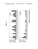 PROGNOSTIC FACTOR IN SARCOMA, AND METASTASIS INHIBITOR diagram and image