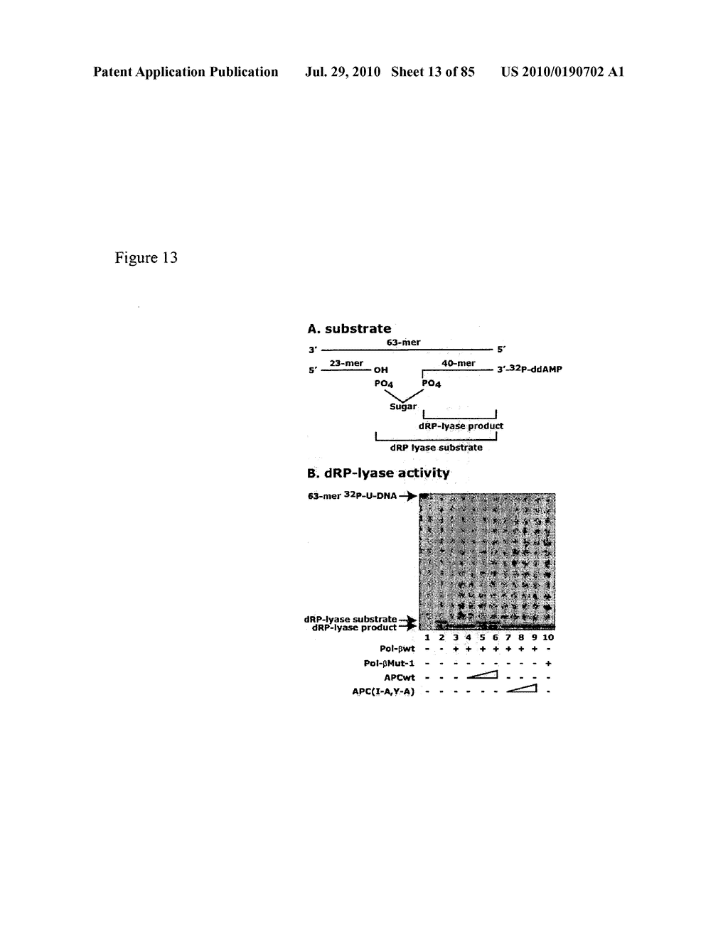 Compositions and Methods of Treating Neoplasia - diagram, schematic, and image 14