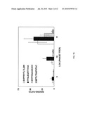 PEPTIDES SPECIFIC FOR HUMAN BLOOD OUTGROWTH ENDOTHELIAL CELLS diagram and image