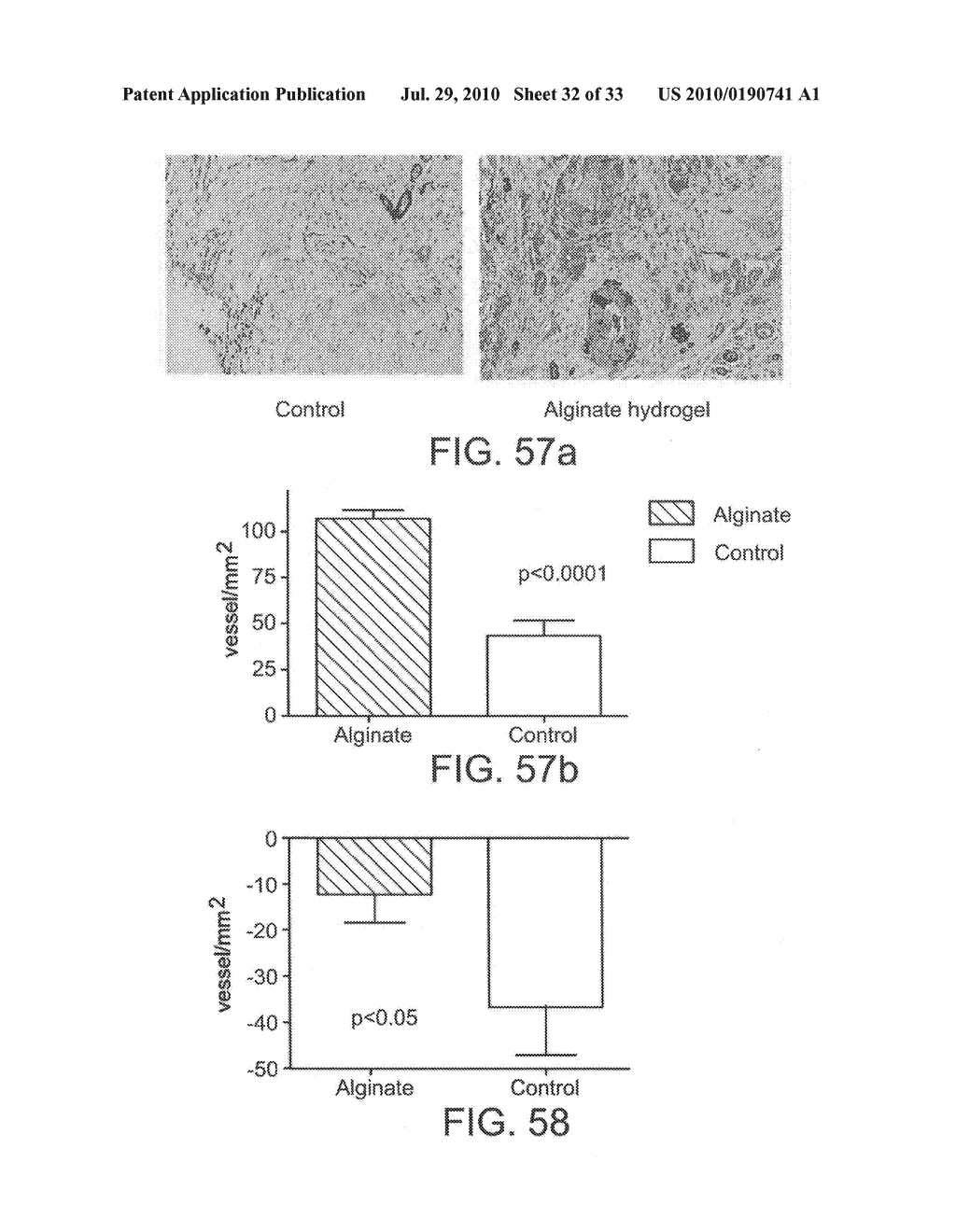 INJECTABLE CROSS-LINKED POLYMERIC PREPARATIONS AND USES THEREOF - diagram, schematic, and image 33