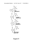 Compounds, Screens, and Methods of Treatment diagram and image