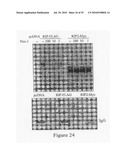 Compounds, Screens, and Methods of Treatment diagram and image