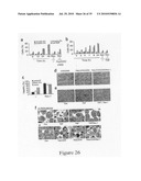Compounds, Screens, and Methods of Treatment diagram and image