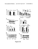 Compounds, Screens, and Methods of Treatment diagram and image