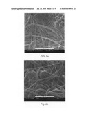 CATALYST SYSTEM FOR POLYMERIZATION OF OLEFINIC MONOMERS, PROCESS FOR PREPARING POLYMERS, AND POLYMERS PREPARED BY THE PROCESS diagram and image