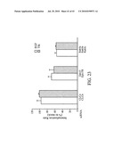 siRNA Targeting Diacylglycerol O-Acyltransferase Homolog 2 (DGAT2) diagram and image