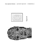 SYSTEM AND METHOD FOR USING THREE DIMENSIONAL INFRARED IMAGING FOR LIBRARIES OF STANDARDIZED MEDICAL IMAGERY diagram and image