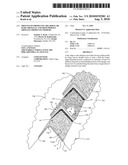 Process of Producing Hip, Ridge or Rake Shingles, and High Profile Shingles Produced Thereby diagram and image