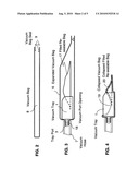 Method and apparatus for evacuating re-sealable bags diagram and image