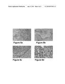 ELECTROCHEMICAL METHODS OF MAKING NANOSTRUCTURES diagram and image