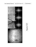 Adaptive Optics Line Scanning Ophthalmoscope diagram and image