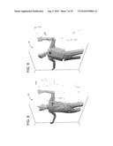 VISUAL TARGET TRACKING diagram and image