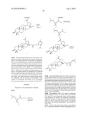 COMPOSITIONS COMPRISING BETULONIC ACID diagram and image