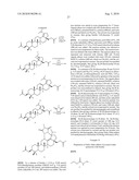 COMPOSITIONS COMPRISING BETULONIC ACID diagram and image