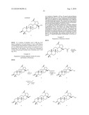 COMPOSITIONS COMPRISING BETULONIC ACID diagram and image