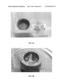 POLYMER FOR TISSUE ENGINEERING APPLICATIONS AND DRUG DELIVERY diagram and image