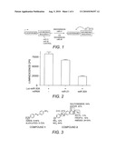 Microrna modulators and method for identifying and using the same diagram and image