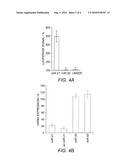 Microrna modulators and method for identifying and using the same diagram and image