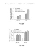 Microrna modulators and method for identifying and using the same diagram and image