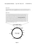 Engineered scFv against Bovine Herpes Virus Type I diagram and image