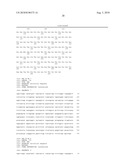 Engineered scFv against Bovine Herpes Virus Type I diagram and image