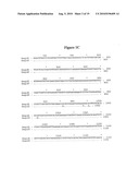 BASB006 POLYPEPTIDES FROM NEISSERIA MENINGITIDIS AND IMMUNOGENIC COMPOSITIONS THEREOF diagram and image