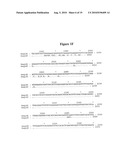 BASB006 POLYPEPTIDES FROM NEISSERIA MENINGITIDIS AND IMMUNOGENIC COMPOSITIONS THEREOF diagram and image