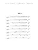 BASB006 POLYPEPTIDES FROM NEISSERIA MENINGITIDIS AND IMMUNOGENIC COMPOSITIONS THEREOF diagram and image