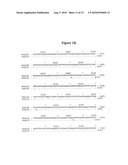 BASB006 POLYPEPTIDES FROM NEISSERIA MENINGITIDIS AND IMMUNOGENIC COMPOSITIONS THEREOF diagram and image