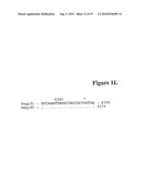 BASB006 POLYPEPTIDES FROM NEISSERIA MENINGITIDIS AND IMMUNOGENIC COMPOSITIONS THEREOF diagram and image