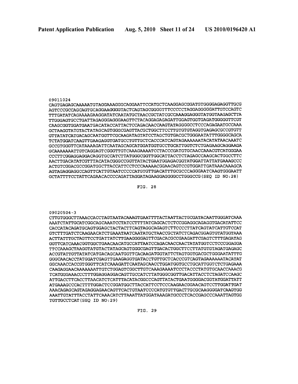 IMMUNOGENIC COMPOSITIONS, VACCINES AND DIAGNOSTICS BASED ON CANINE DISTEMPER VIRUSES CIRCULATING IN NORTH AMERICAN DOGS - diagram, schematic, and image 12