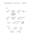 Isoform Selective HDAC Inhibitors diagram and image